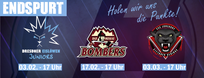 Endspurt_Chemnitz_Crashers_Eishockey