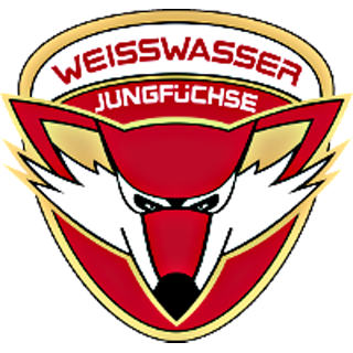 Jungfuechse_Weisswasser_320